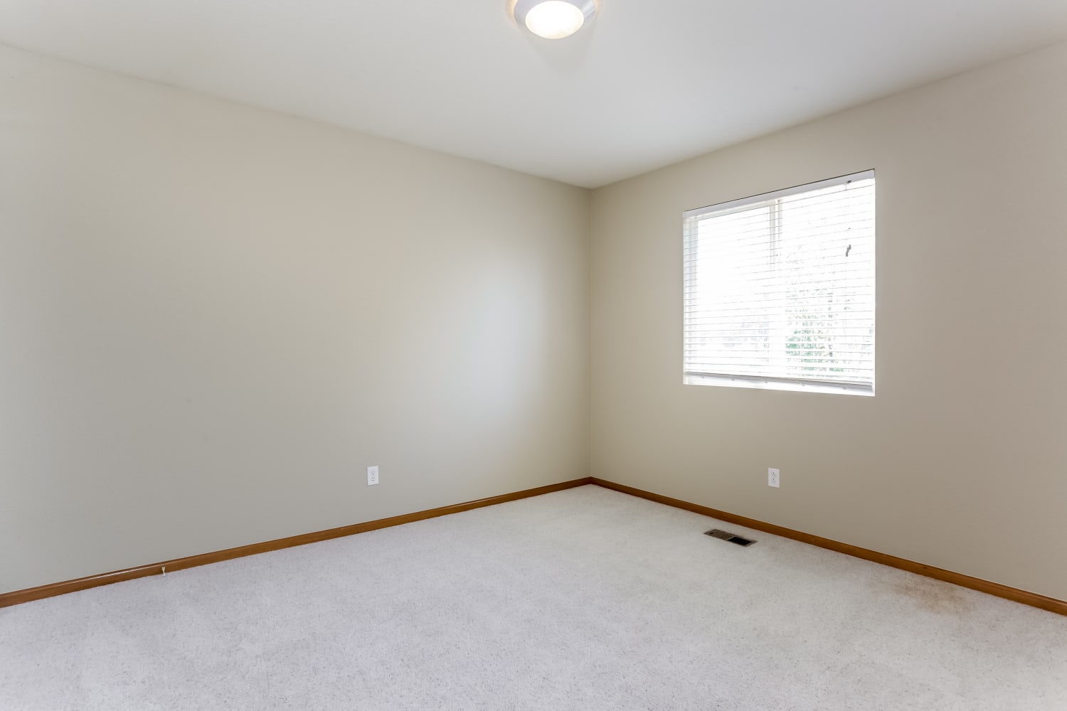 1320 Bluebird St, Brighton photo 12