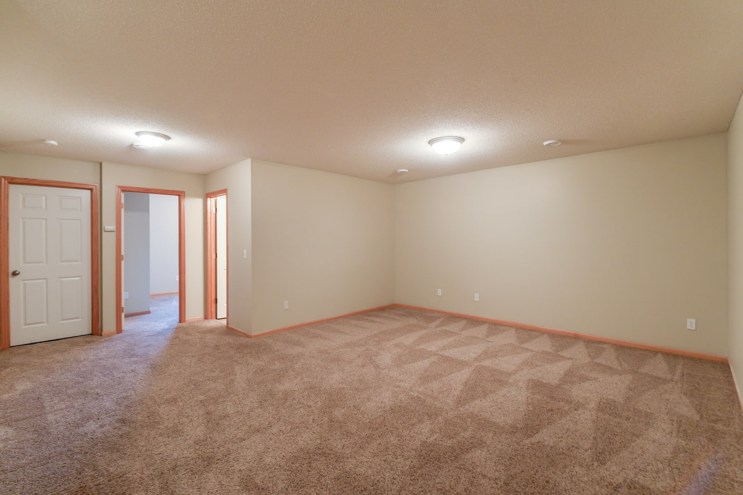 13312 Tulip St NW, Andover photo 6