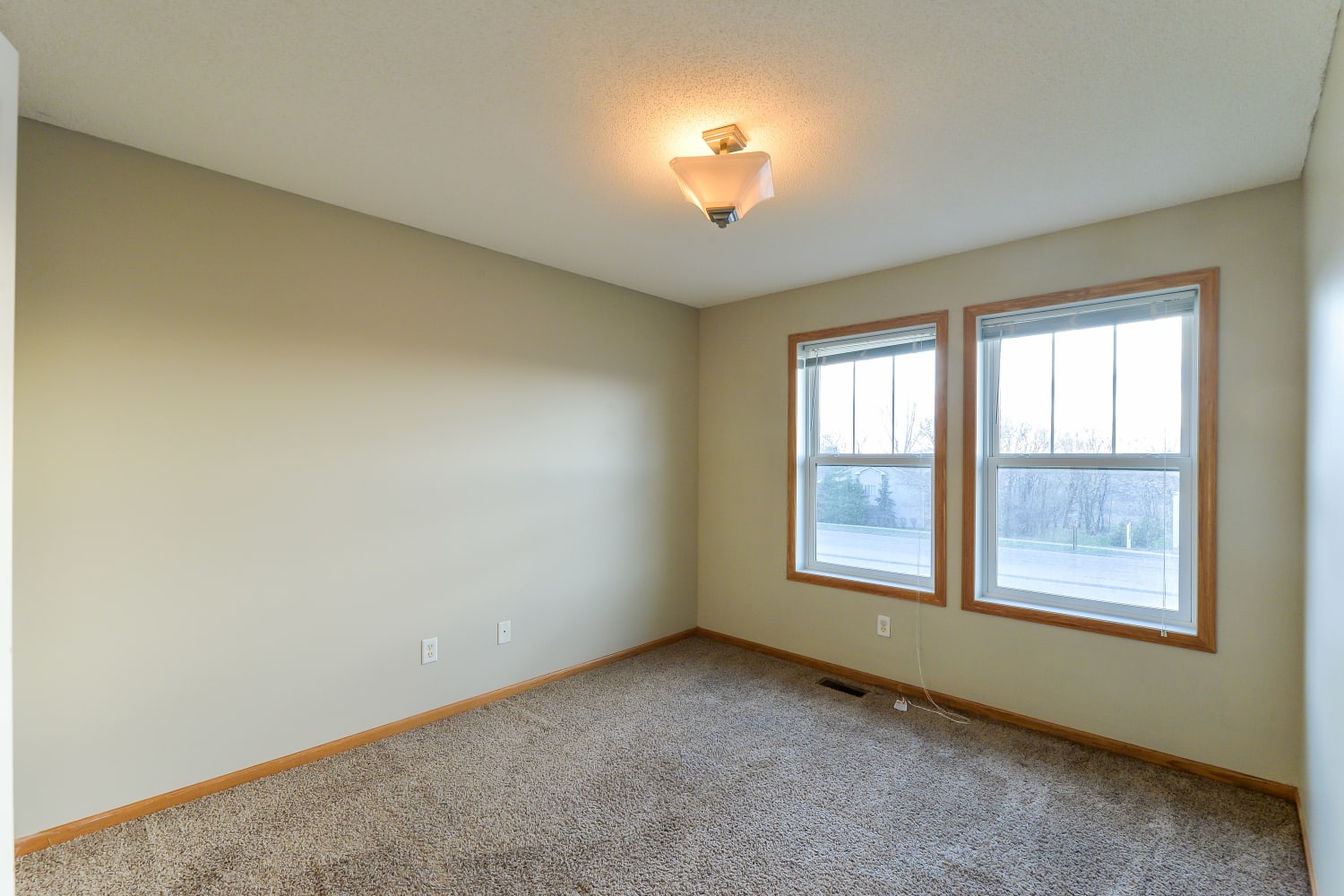 13312 Tulip St NW, Andover photo 11