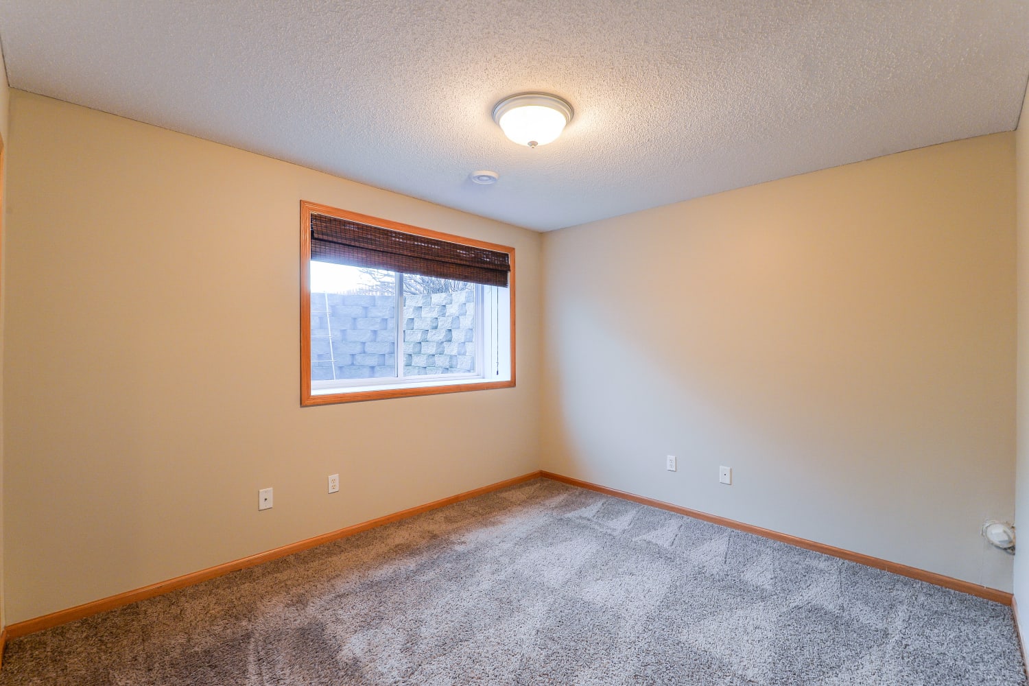 13312 Tulip St NW, Andover photo 9