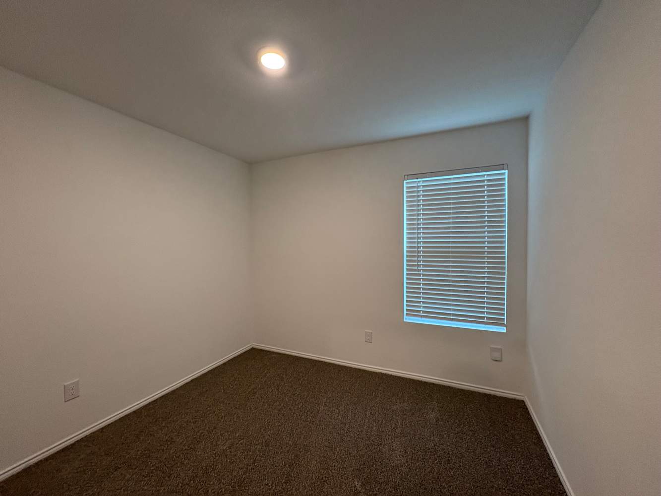 1339 Mosely Cir, Dallas photo 8