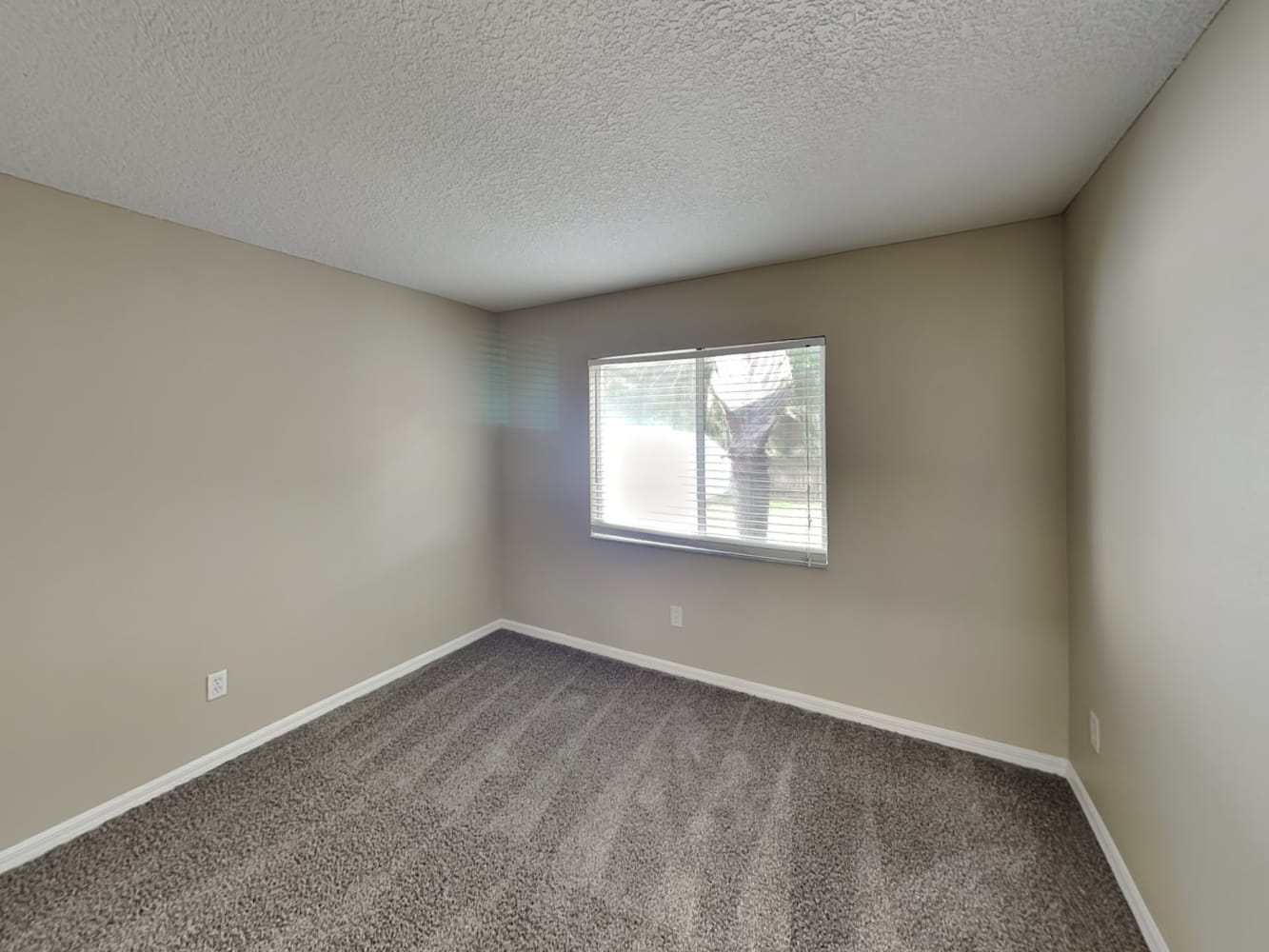 13521 Prestwick Dr, Riverview photo 13