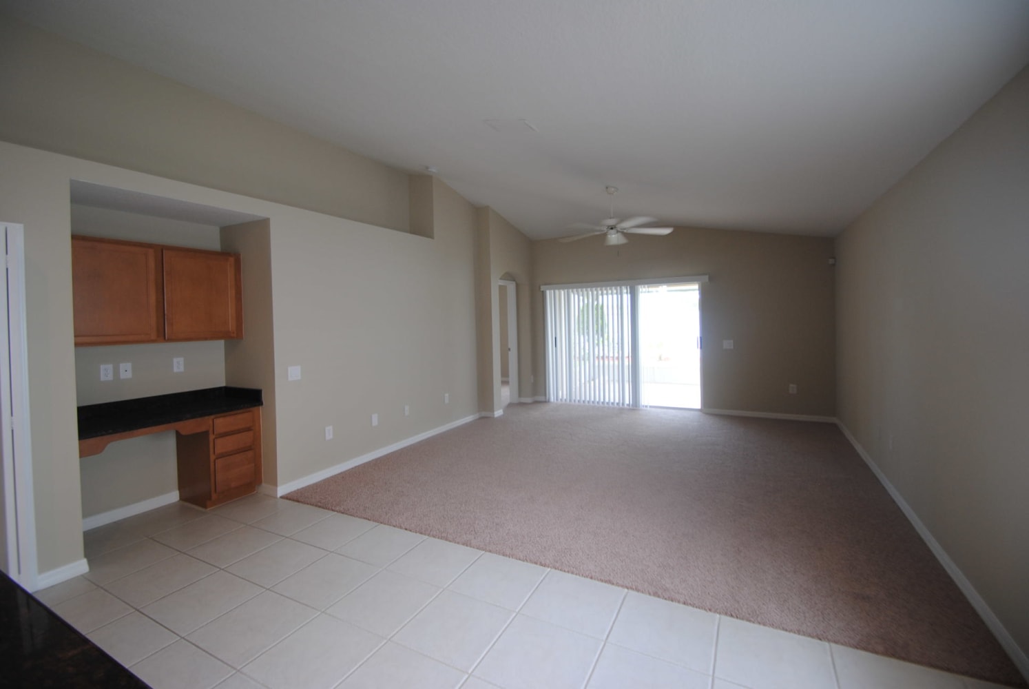 13528 Fladgate Mark Dr, Riverview photo 4