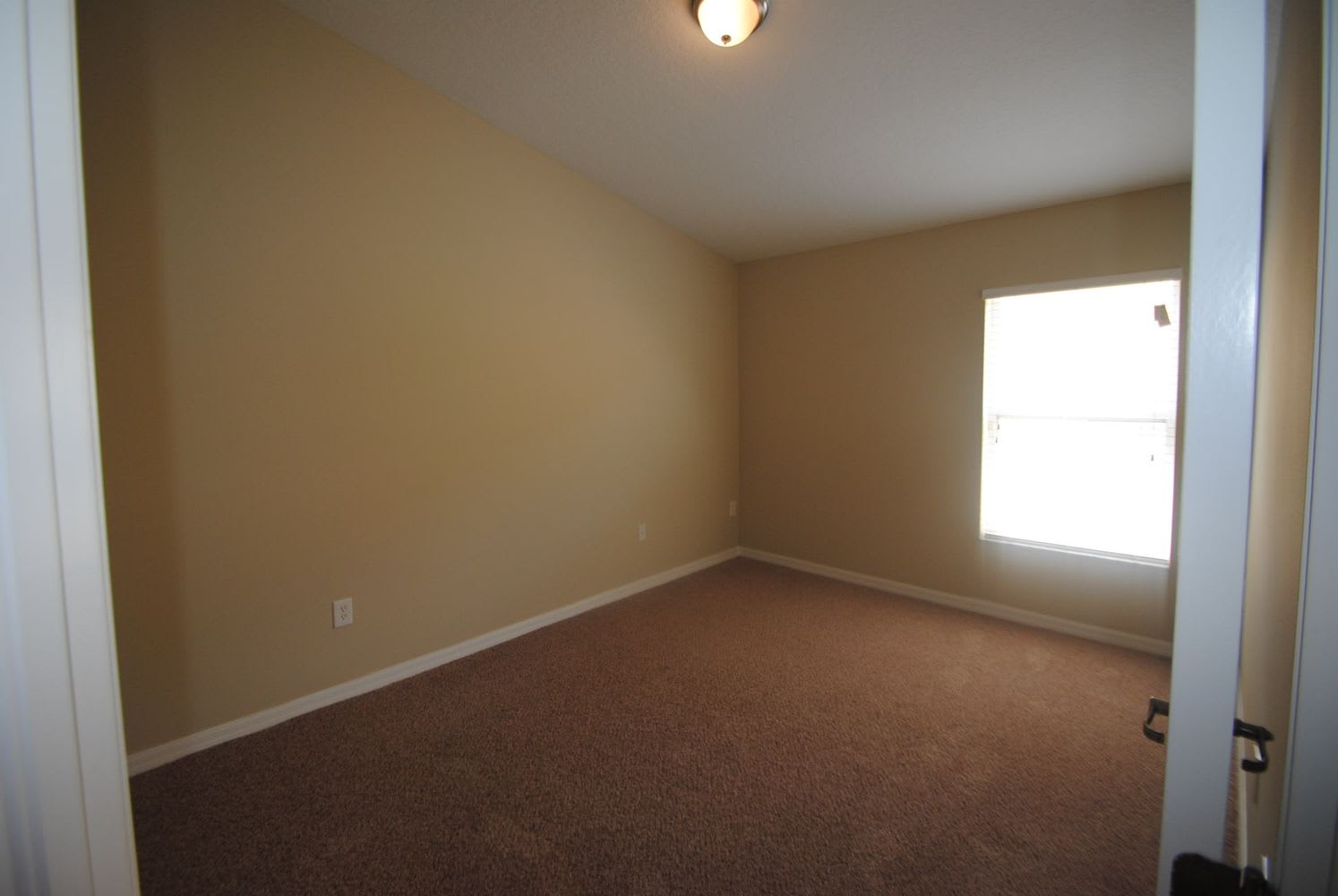 13528 Fladgate Mark Dr, Riverview photo 9