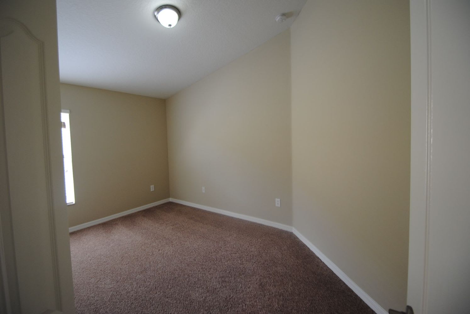 13528 Fladgate Mark Dr, Riverview photo 8