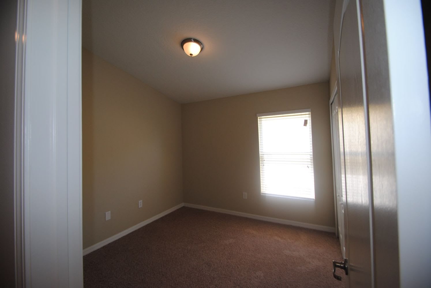13528 Fladgate Mark Dr, Riverview photo 10