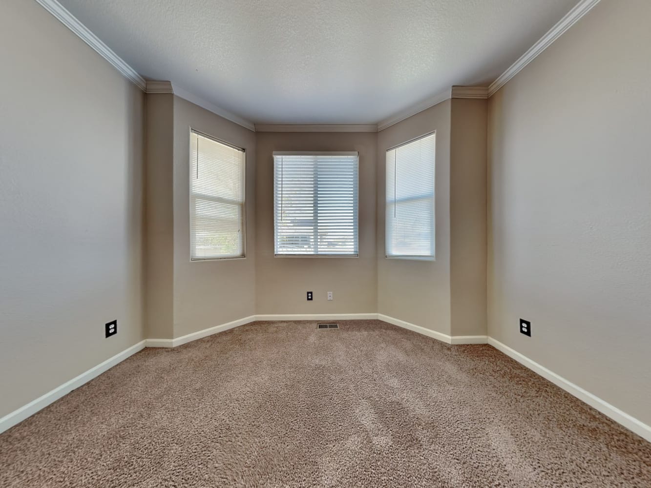 13585 E 107th Pl, Commerce City photo 10