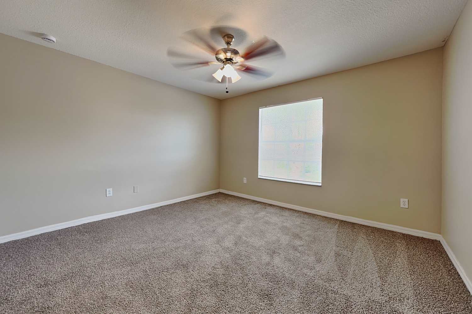 1401 Gallberry Ct, Trinity photo 16