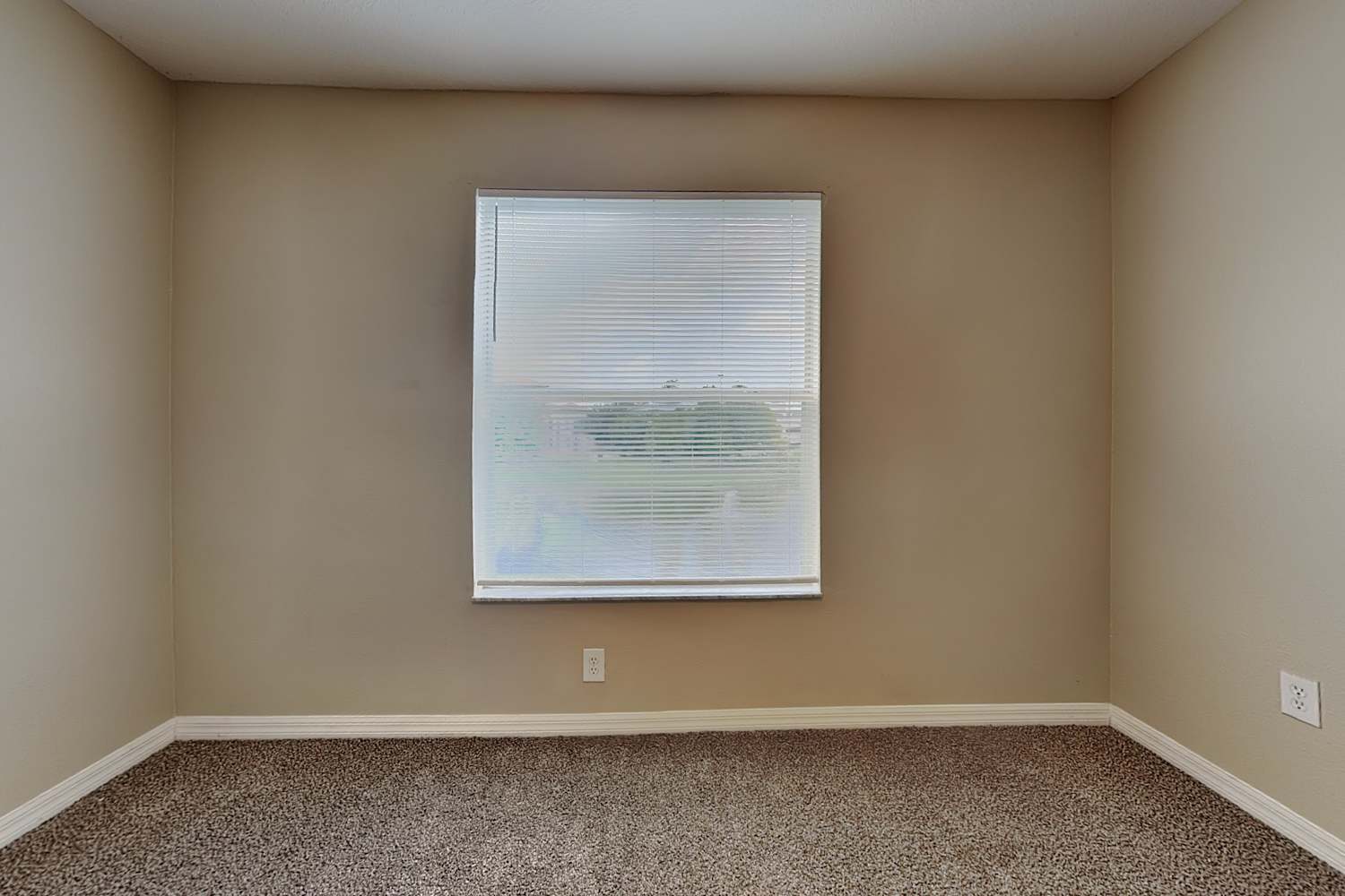 1401 Gallberry Ct, Trinity photo 13