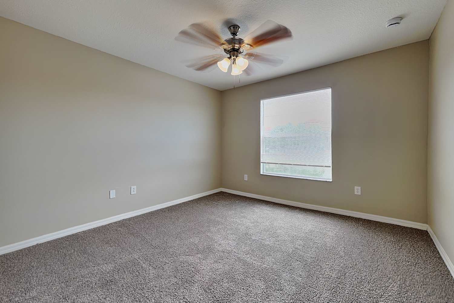 1401 Gallberry Ct, Trinity photo 14