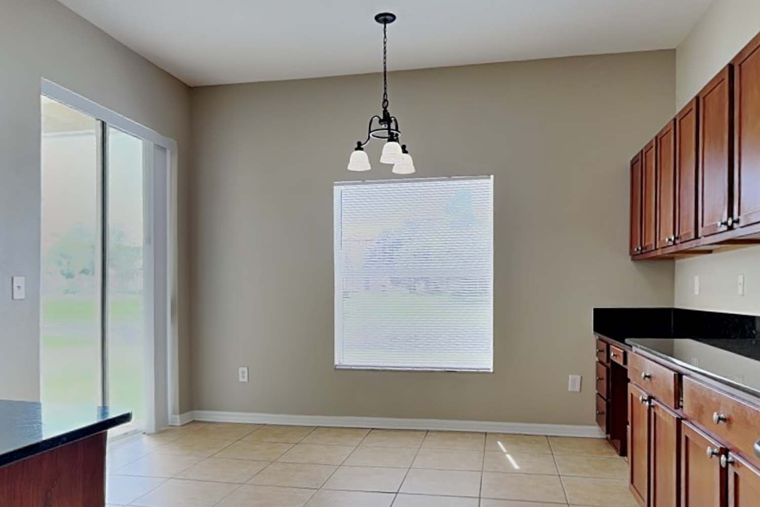 1401 Gallberry Ct, Trinity photo 7
