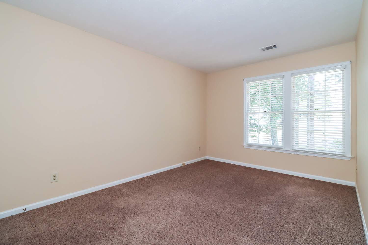 1402 Long Shadow Ct, Woodstock photo 14