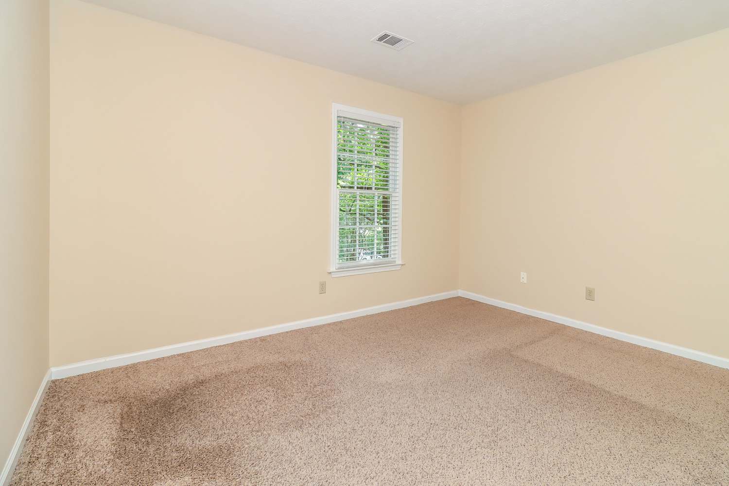 1402 Long Shadow Ct, Woodstock photo 13