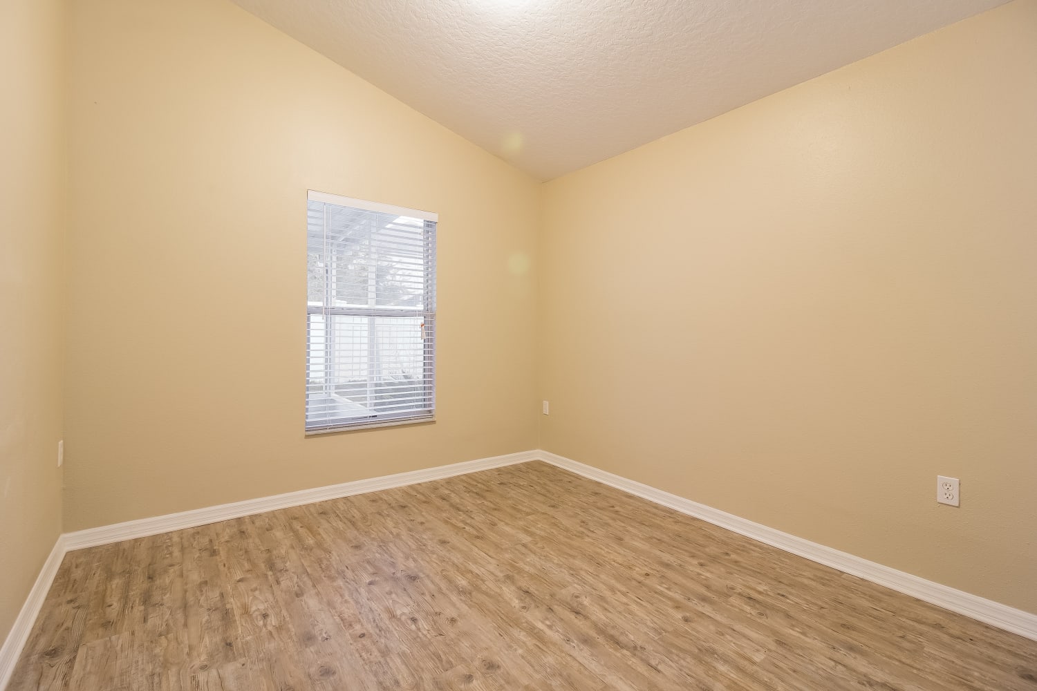 14100 Yellow Wood Cir, Orlando photo 11
