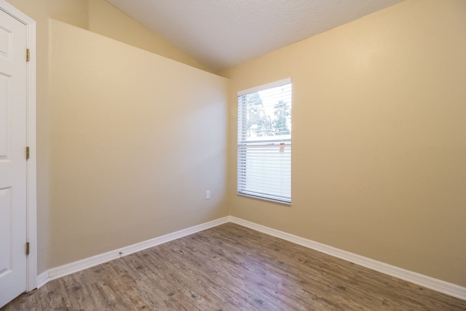 14100 Yellow Wood Cir, Orlando photo 15