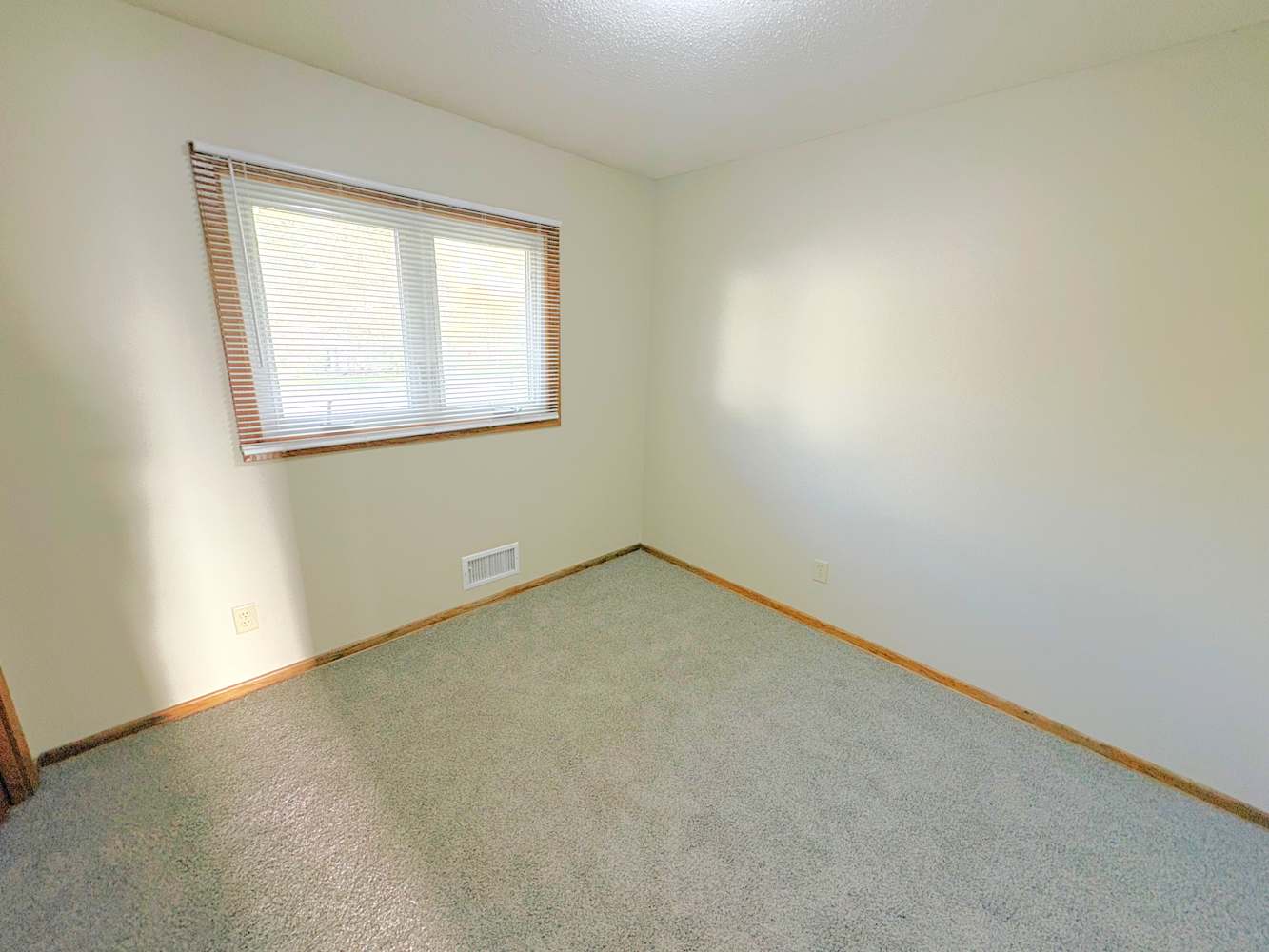 1411 Bidwell St, Saint Paul photo 10