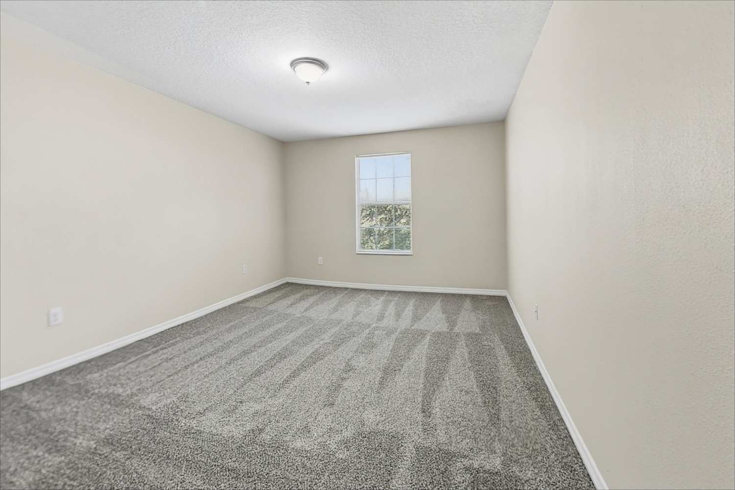 1423 Tahoe Springs Ct, Ruskin photo 21