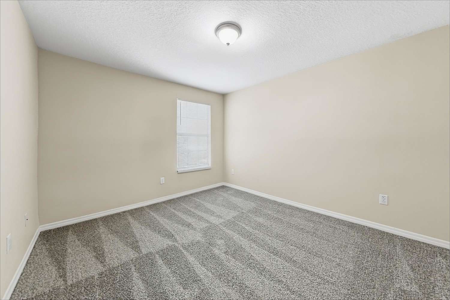1423 Tahoe Springs Ct, Ruskin photo 19