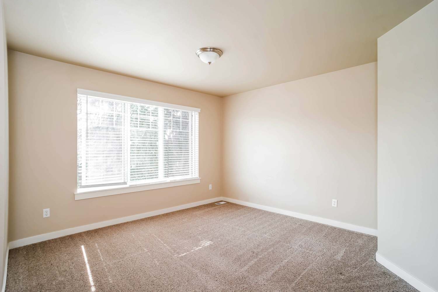 14521 80th Ave E, Puyallup photo 8