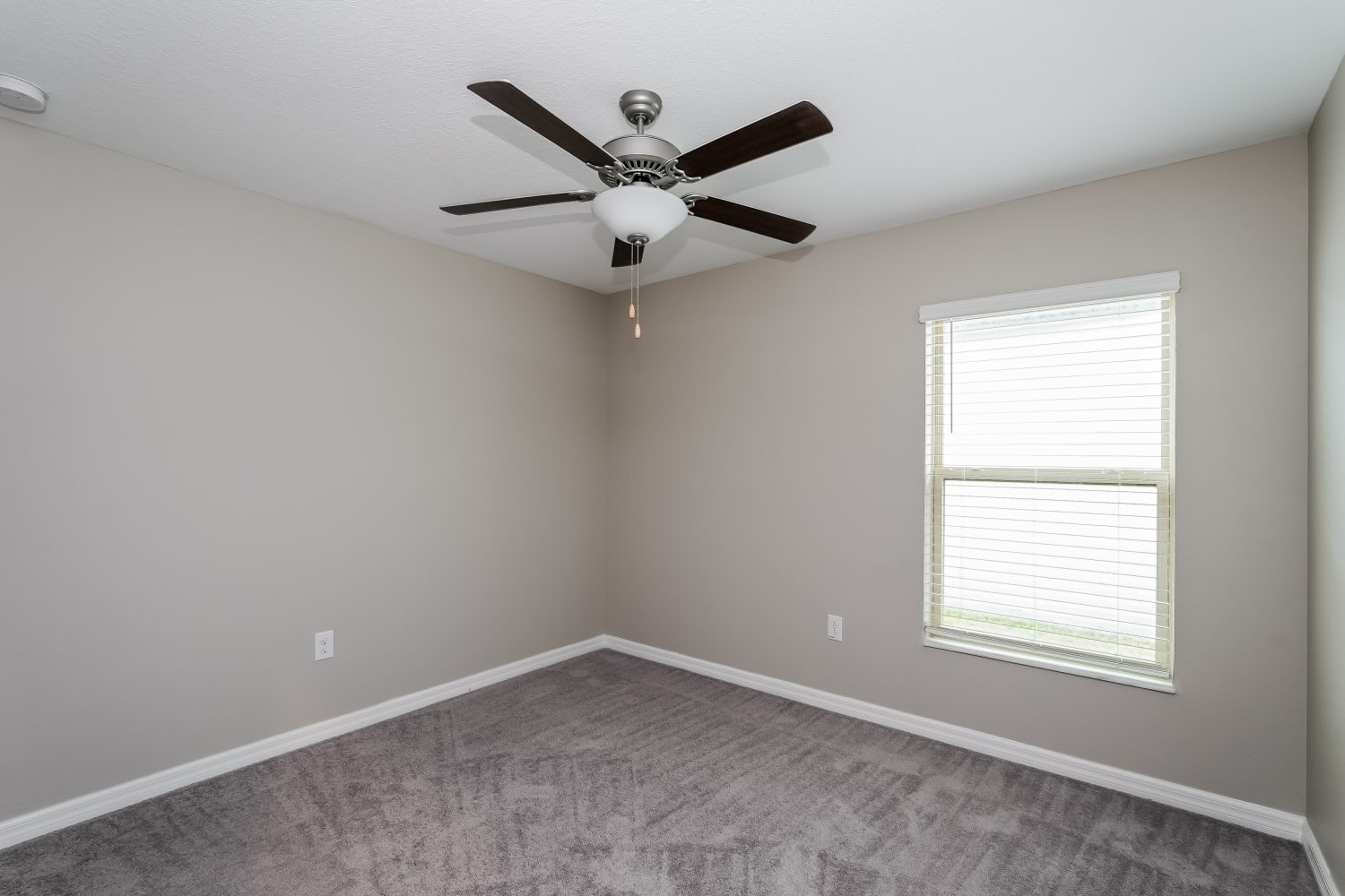 1457 Flower Dust Dr, Ruskin photo 10