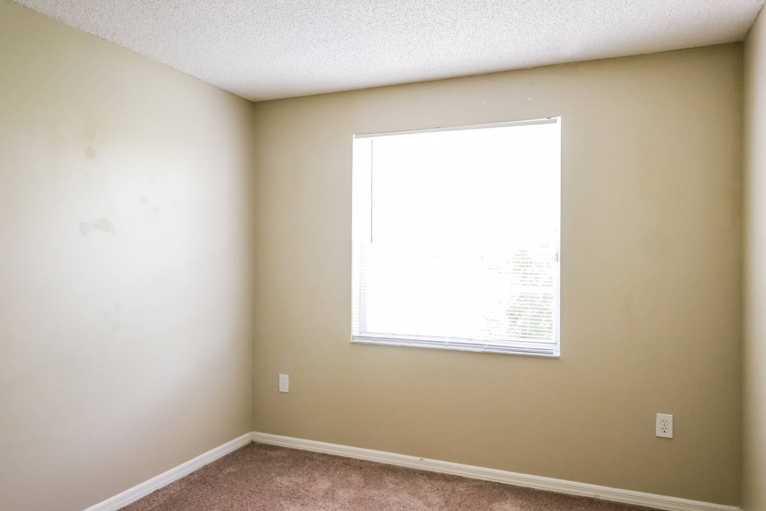 146 Gables Blvd, Weston photo 11