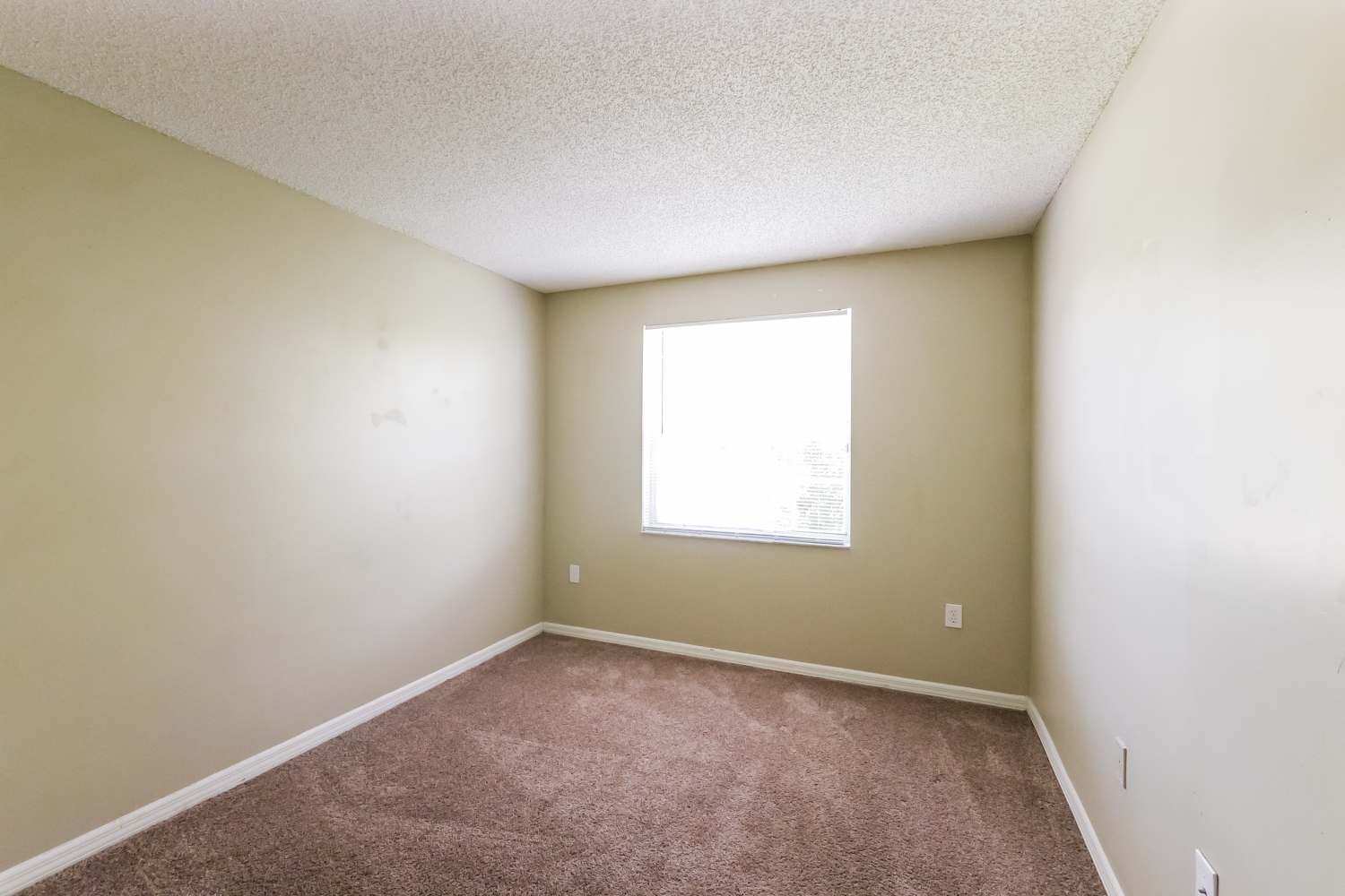 146 Gables Blvd, Weston photo 12