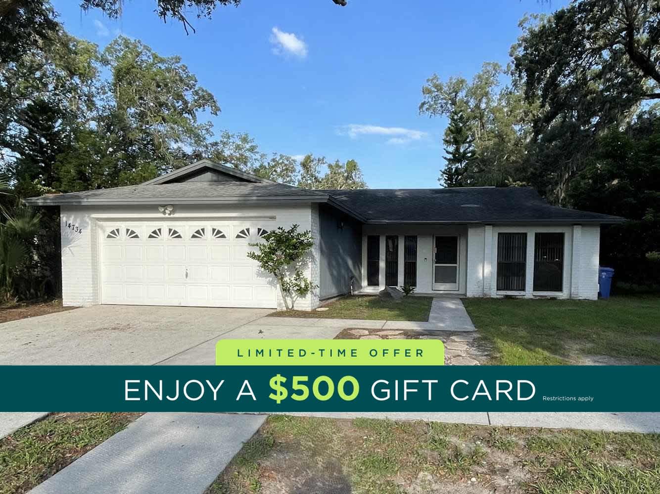 14734 Oak Vine Dr, Lutz photo 1