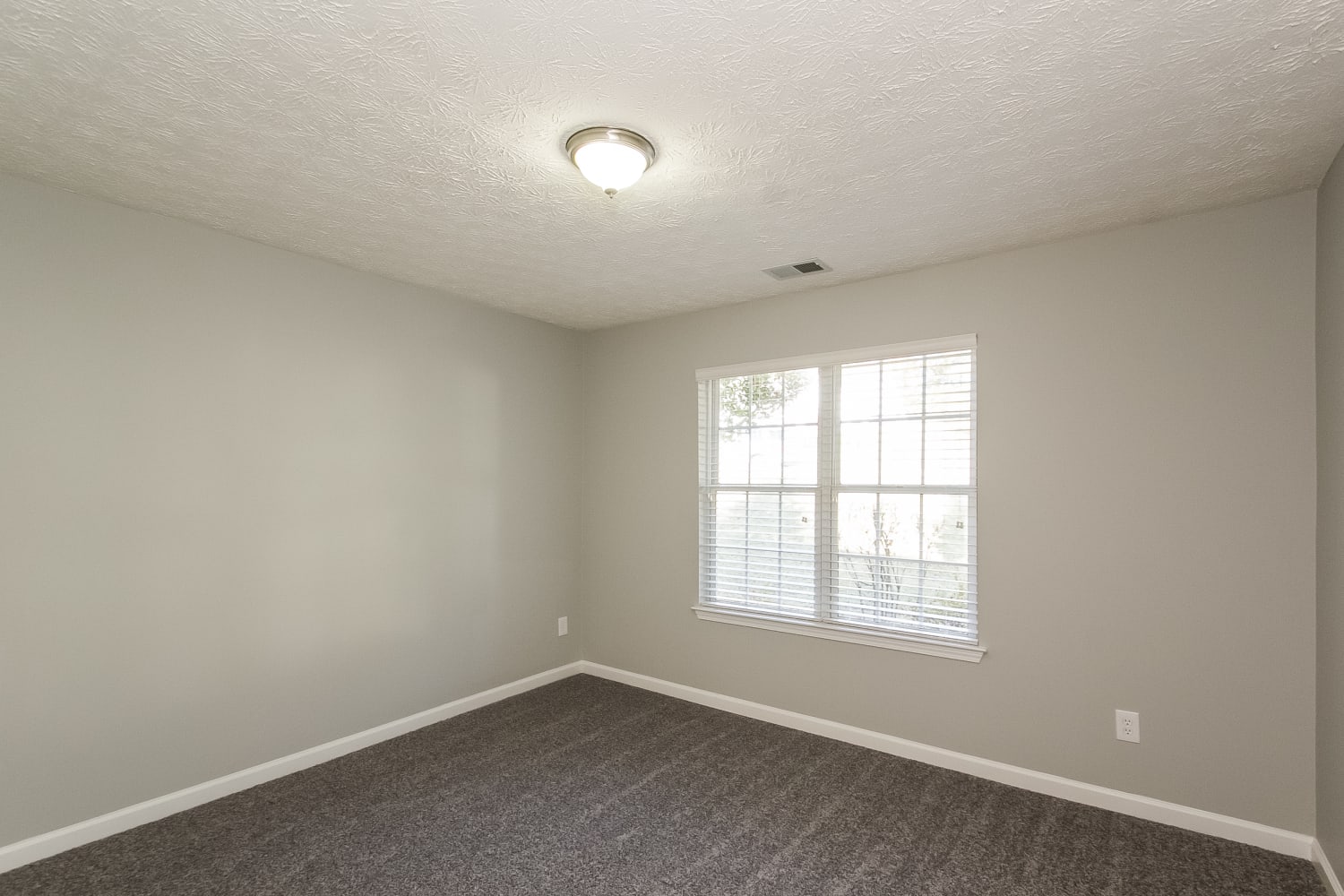 1530 Heatherton Rd, Dacula photo 16