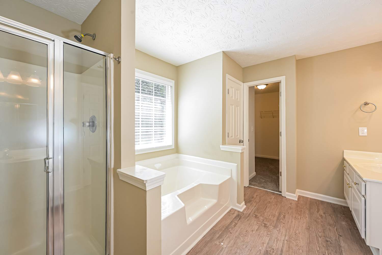 1533 Hayden Mill Way, Lawrenceville photo 11