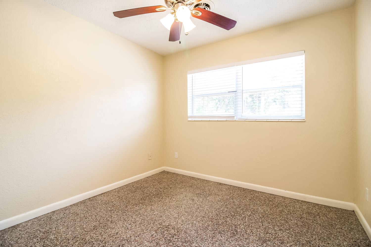 1546 Peruvian Ln, Winter Park photo 12