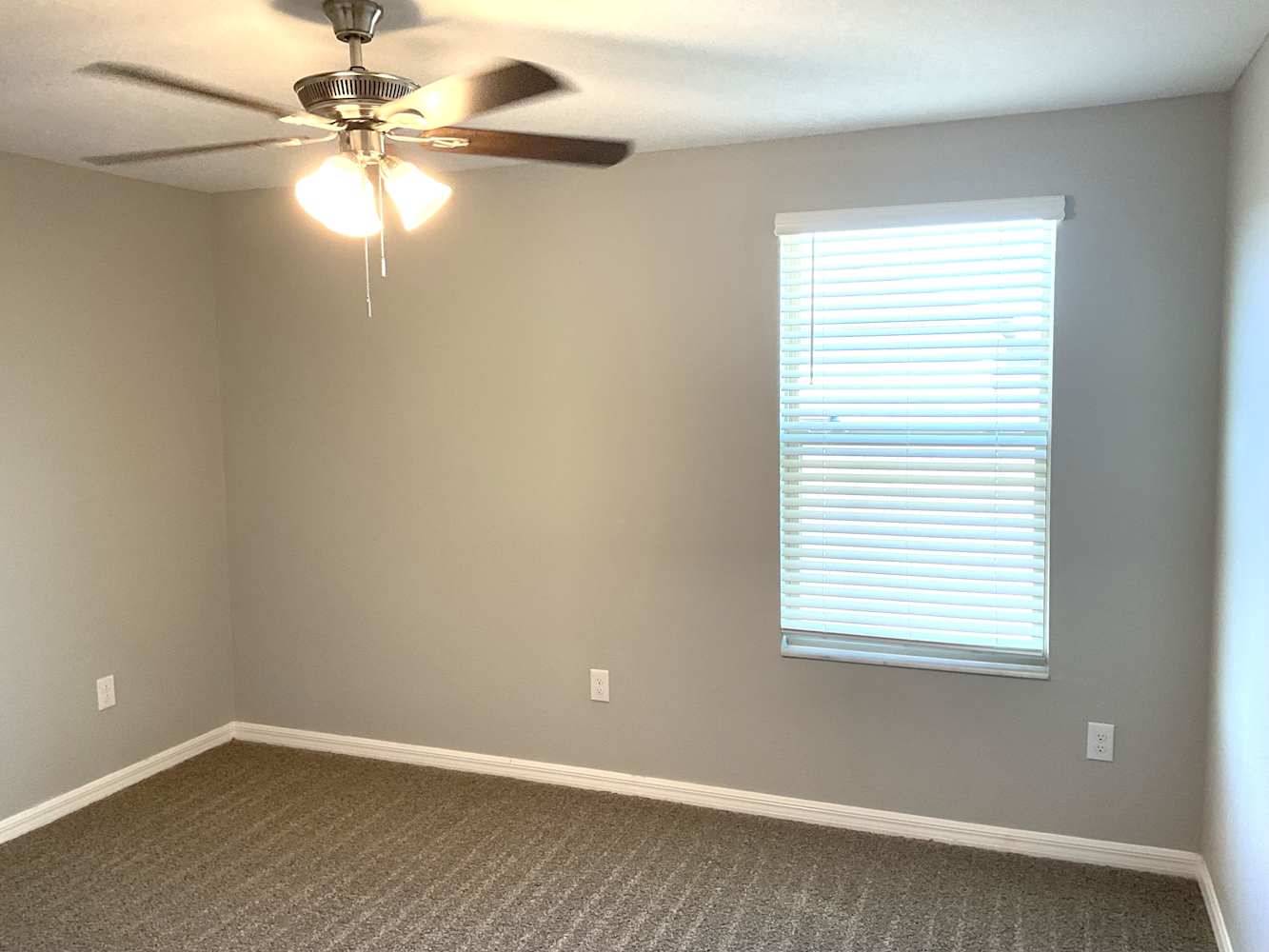 15540 Colt Creek Pl, Ruskin photo 7