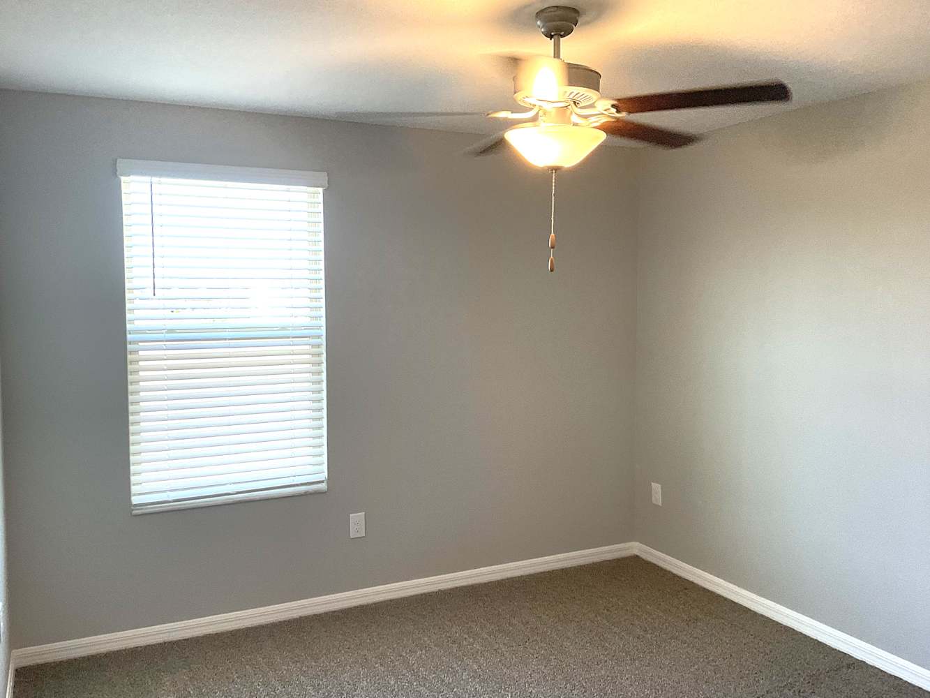 15540 Colt Creek Pl, Ruskin photo 8