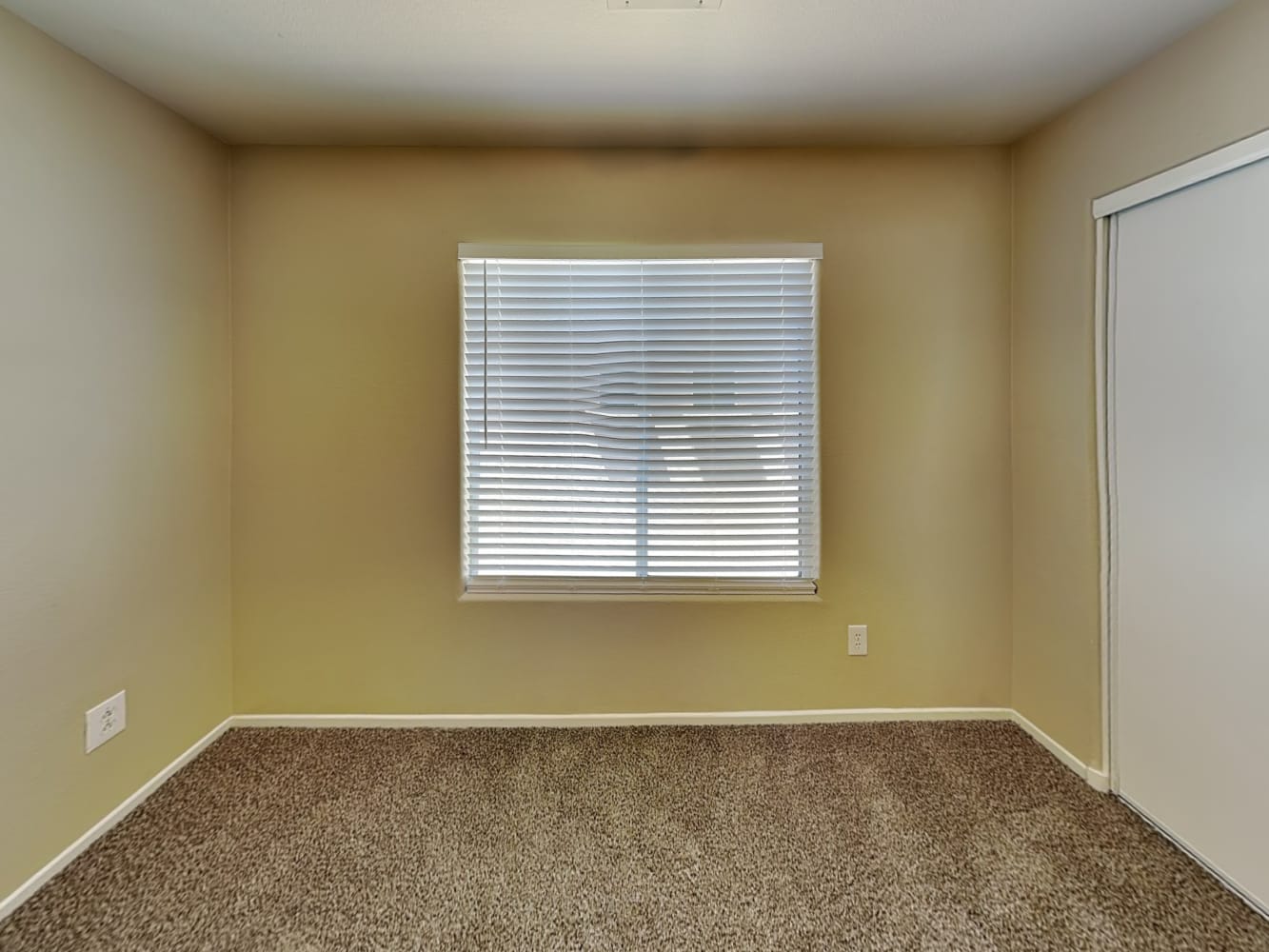 157 Almond Ridge Pl, Henderson photo 11