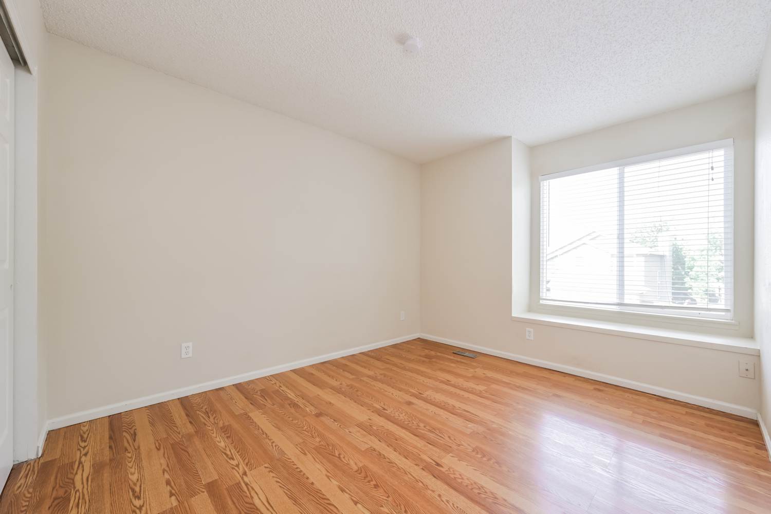 1572 Beacon Hill Dr, Highlands Ranch photo 11