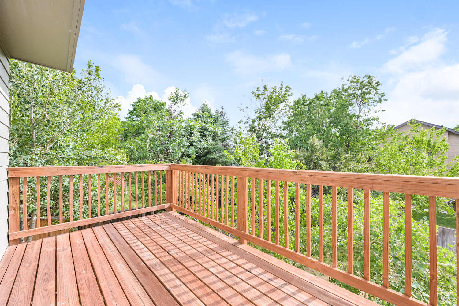 1572 Beacon Hill Dr, Highlands Ranch photo 17