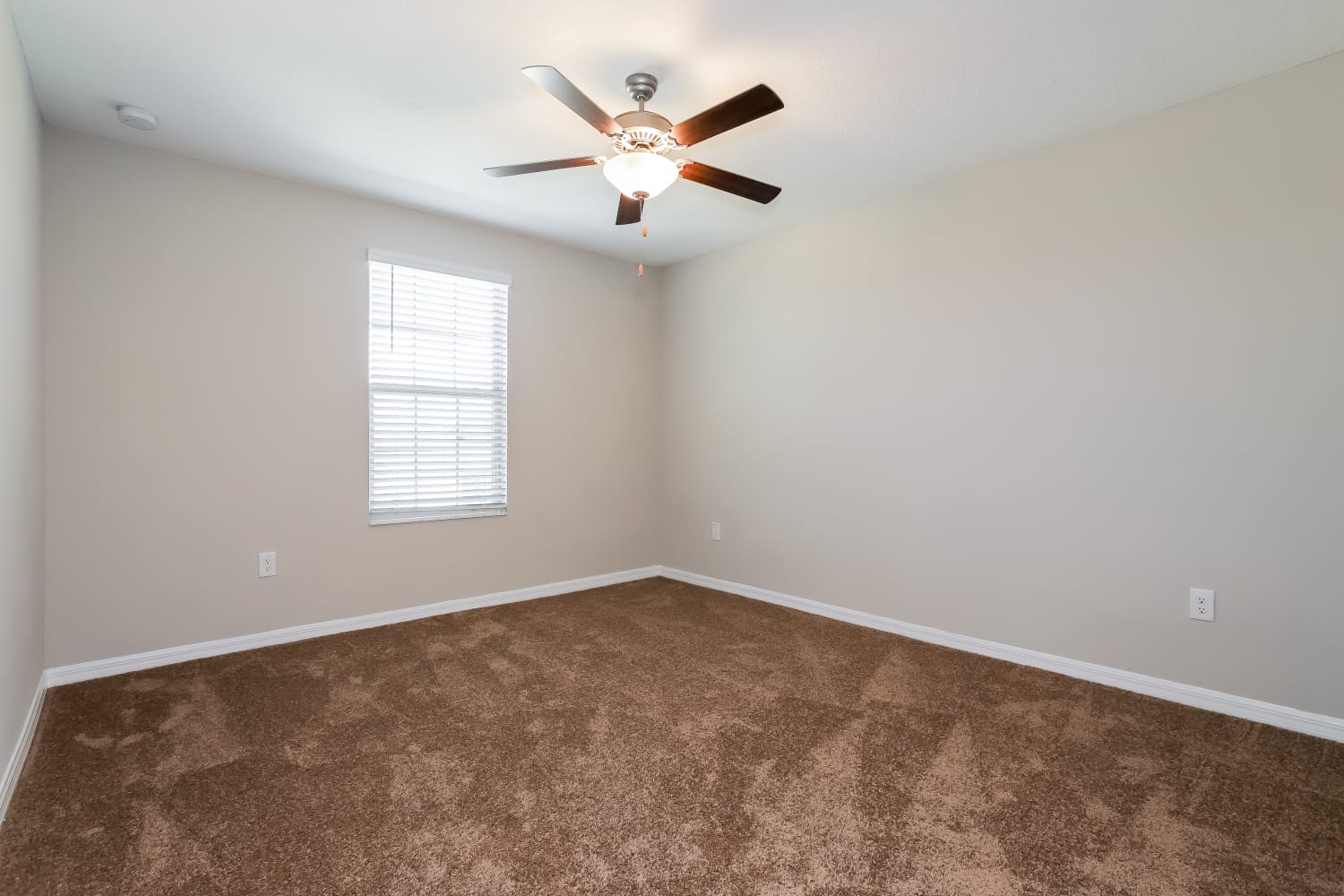 1580 Blue Rose Dr, Ruskin photo 13
