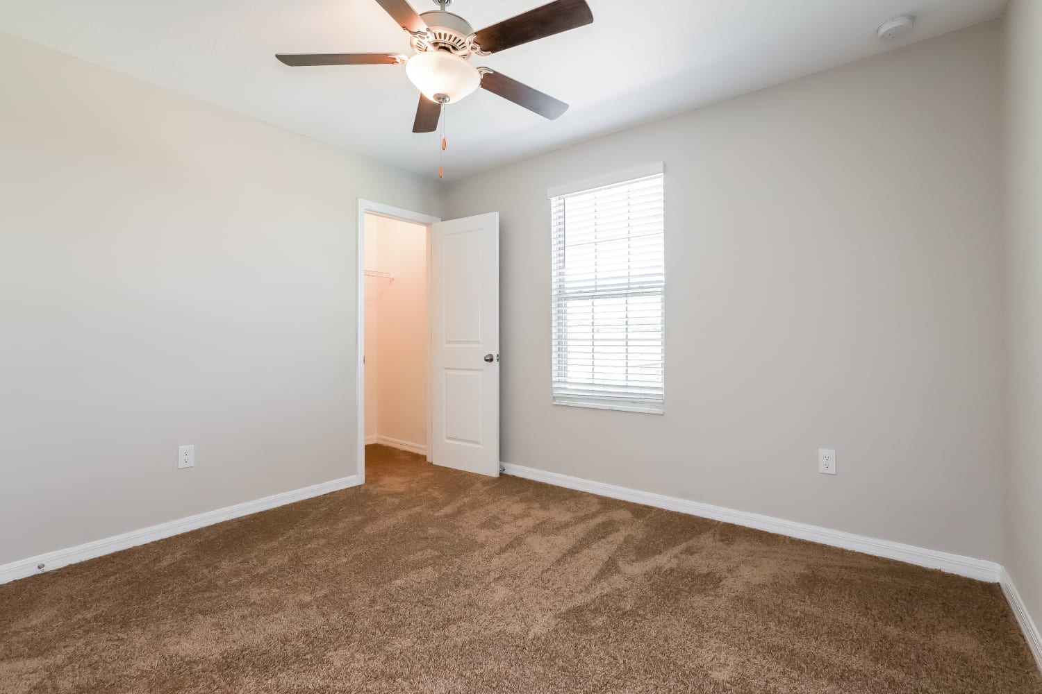 1580 Blue Rose Dr, Ruskin photo 9