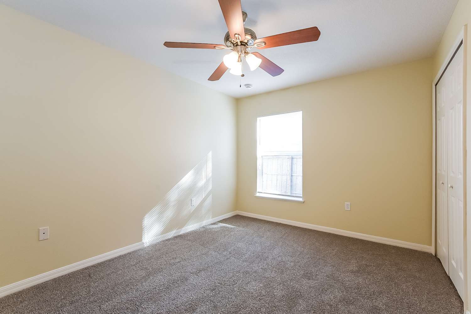 159 Velveteen Pl, Chuluota photo 10