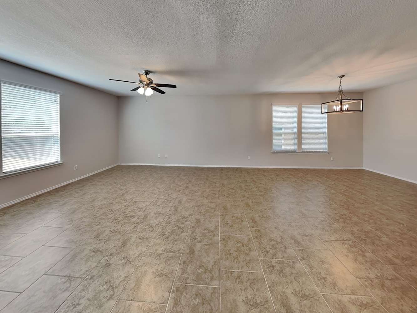 1607 Crown Daisy, San Antonio photo 8