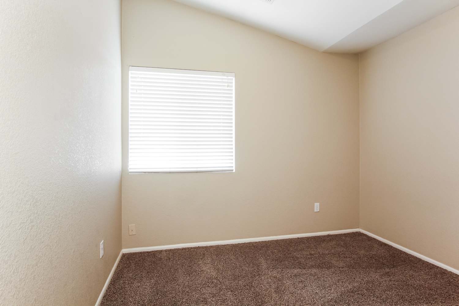 16168 W Sherman St, Goodyear photo 12