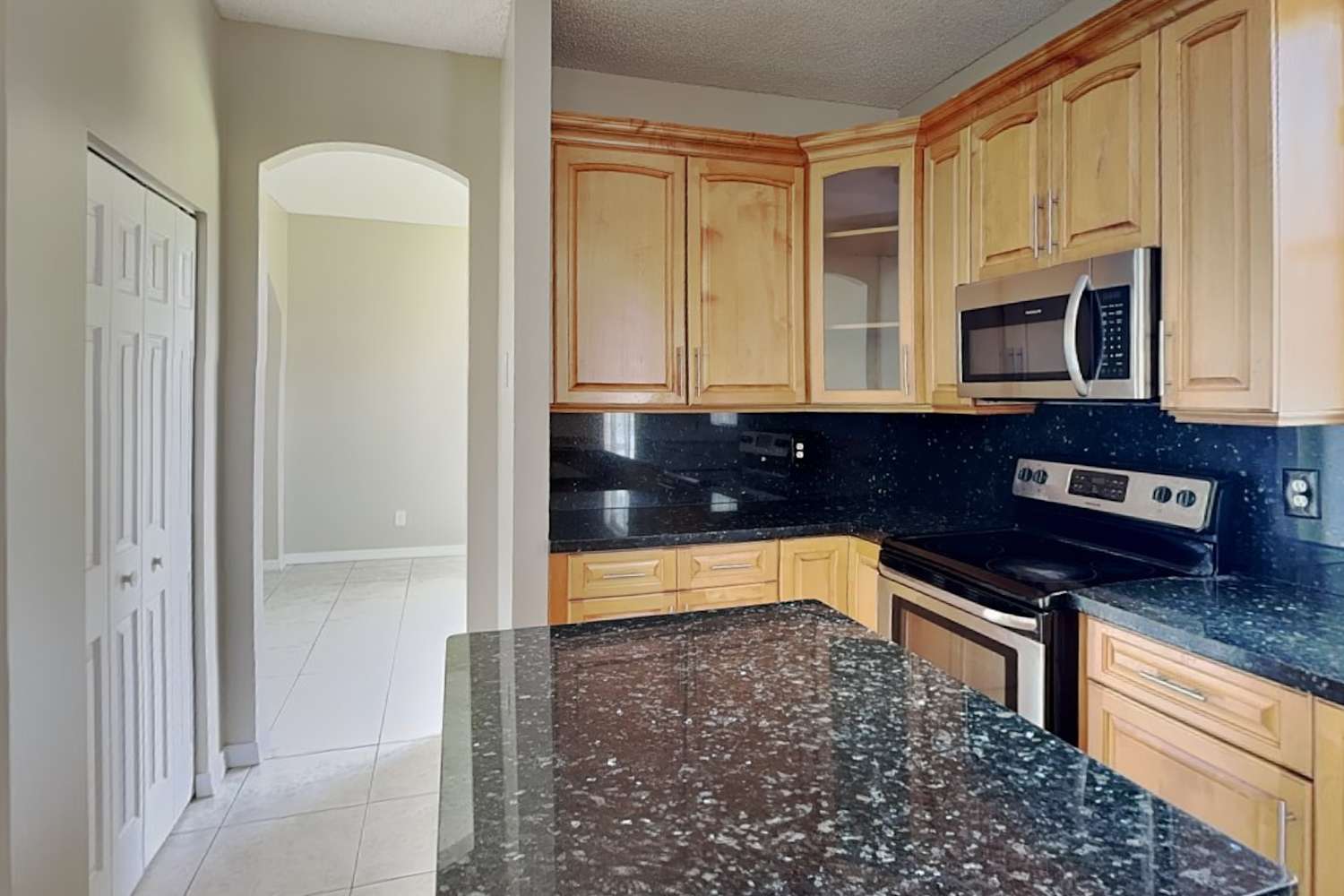 16203 Opal Creek Dr, Weston photo 9