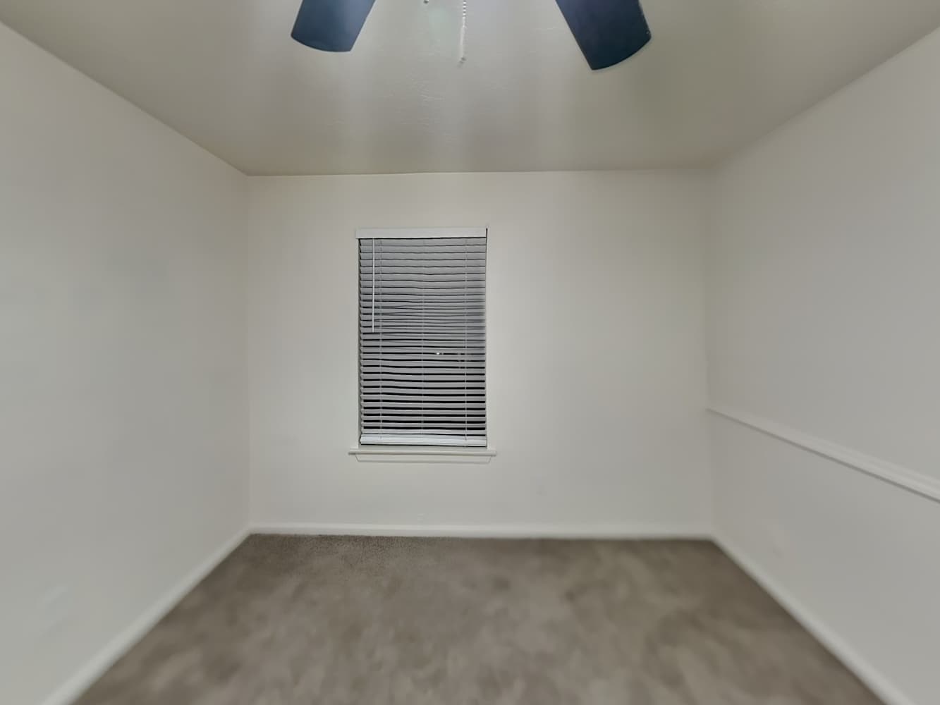 16206 Elm Point Ct, Houston photo 16