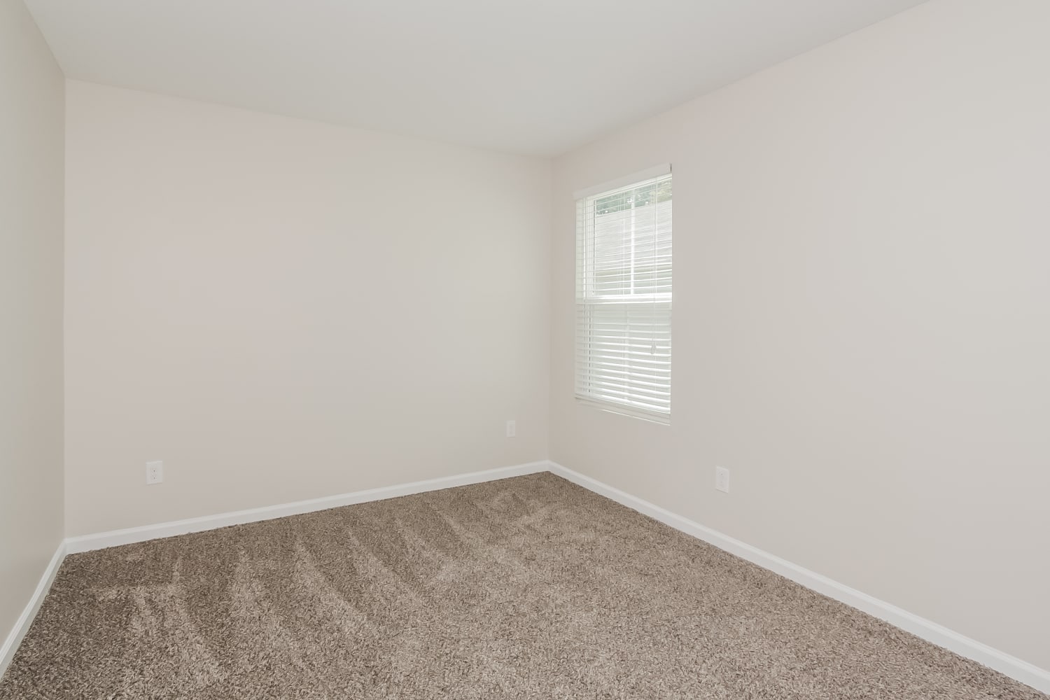 1623 Hooper Court, Charlotte photo 9
