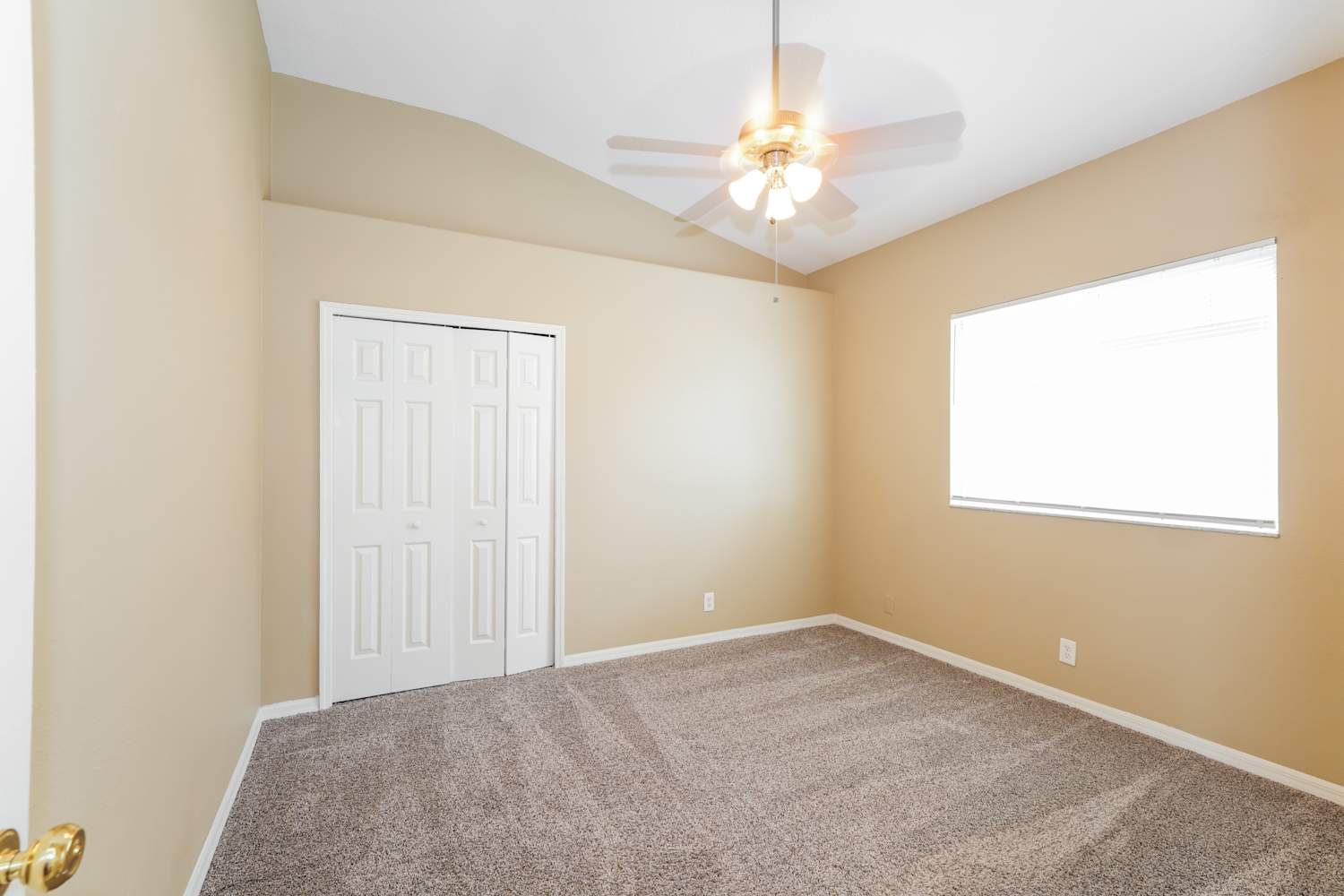 1631 Regal Mist Loop, Trinity photo 13