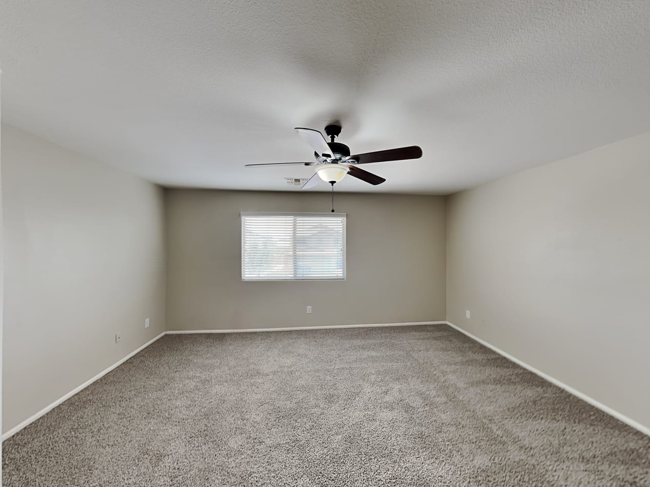 166 W Brangus Way, San Tan Valley photo 8