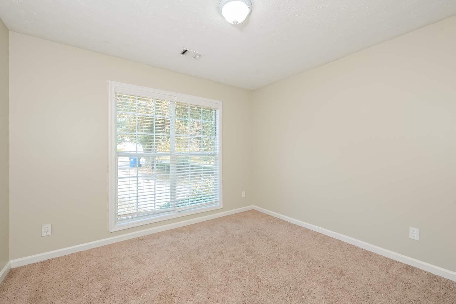 1661 Hampton Walk Dr, Hoschton photo 14