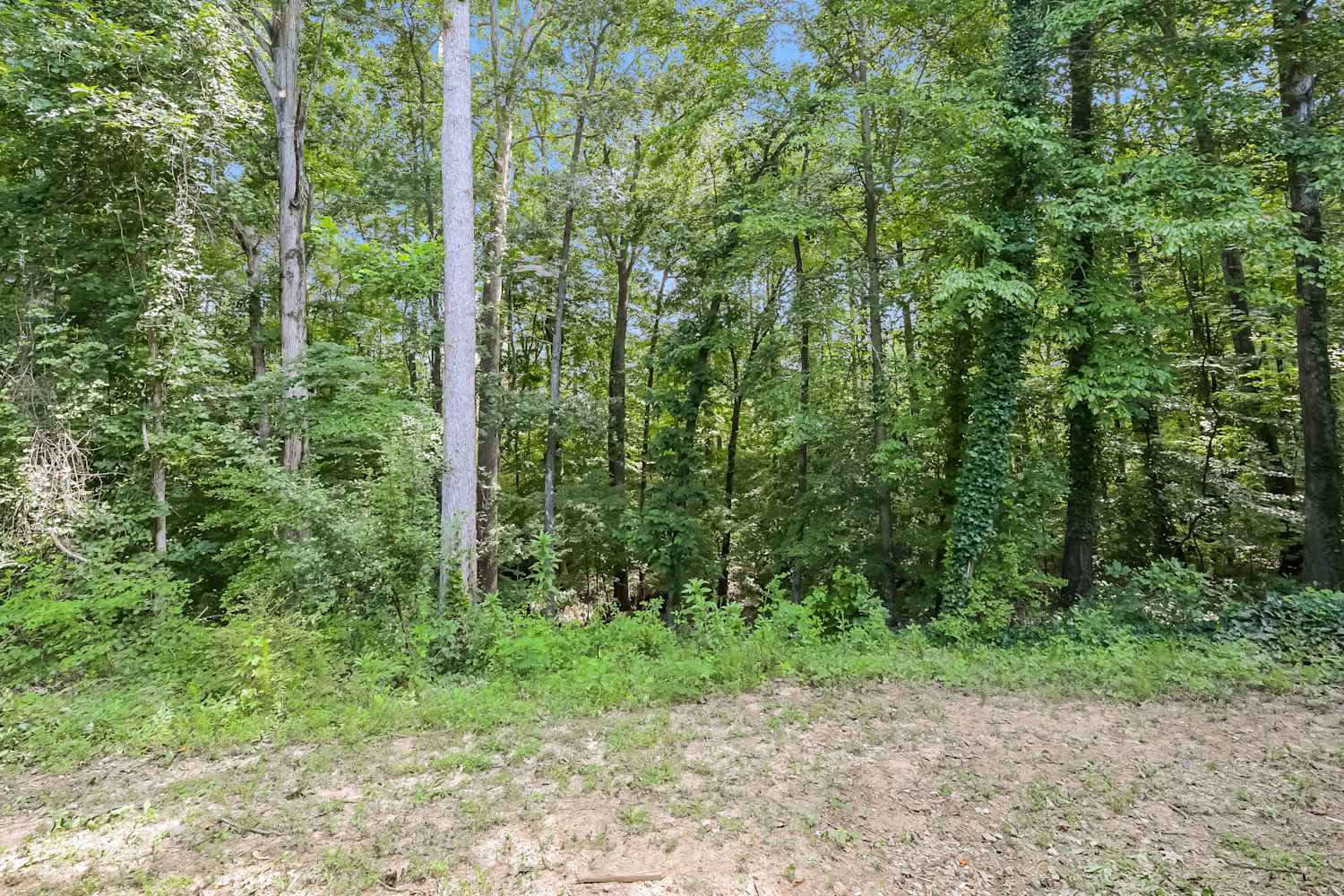 1661 Hampton Walk Dr, Hoschton photo 16