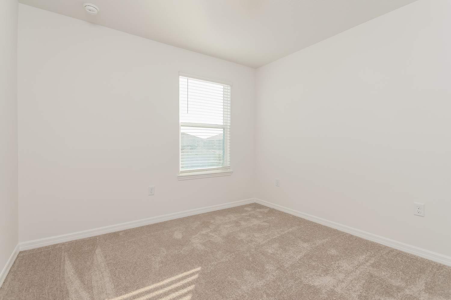 16657 Silver Brook Way, Winter Garden photo 17