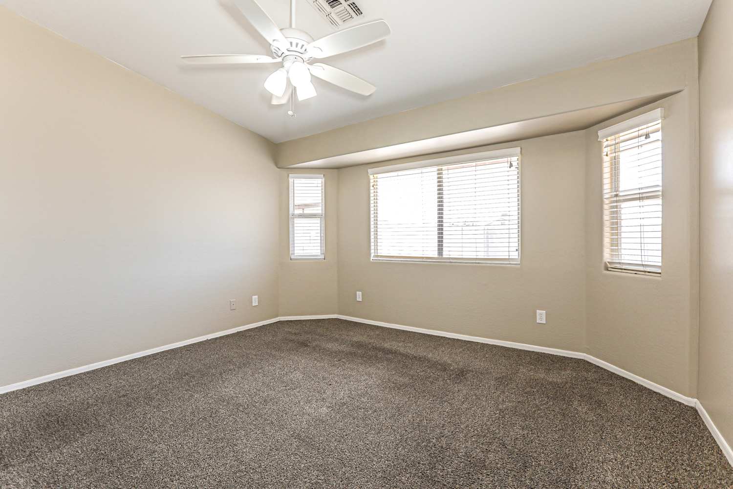 1667 S Stetson Ct, Apache Junction photo 9