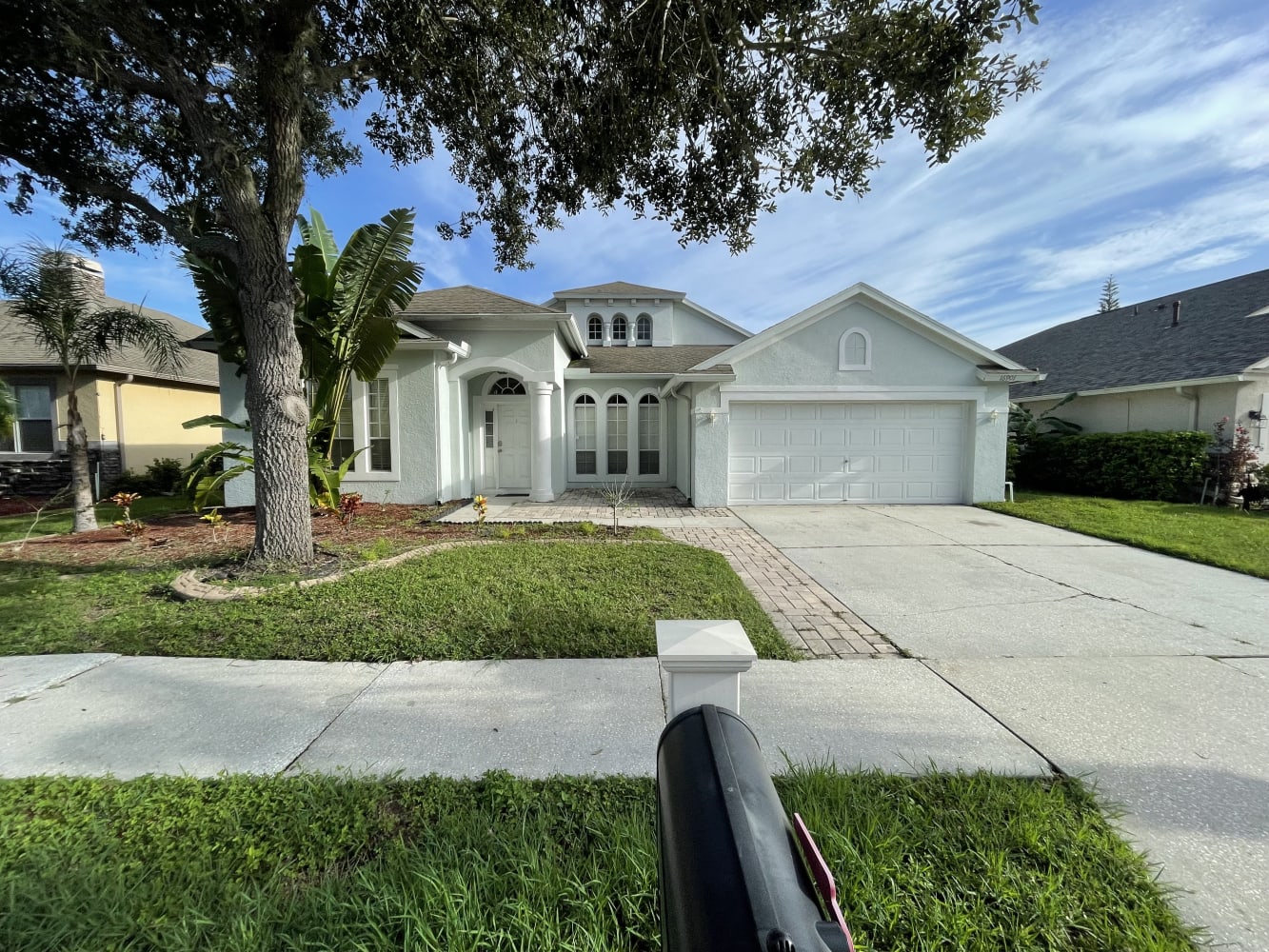 Front of 16901 Nikki Ln, Odessa, FL